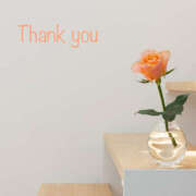 ヒメ日記 2025/11/17 12:12 投稿 りの 熟女の風俗最終章 本厚木店