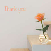 ヒメ日記 2025/11/19 10:52 投稿 りの 熟女の風俗最終章 本厚木店