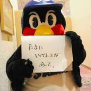 ヒメ日記 2025/11/24 08:51 投稿 りの 熟女の風俗最終章 本厚木店