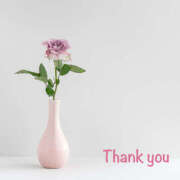 ヒメ日記 2025/11/29 16:21 投稿 りの 熟女の風俗最終章 本厚木店