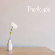 りの 12/15 本指名様、ご予約ありがとうございます 熟女の風俗最終章 本厚木店