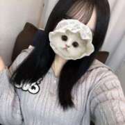 ヒメ日記 2025/12/02 17:16 投稿 モネ エピソード(品川)