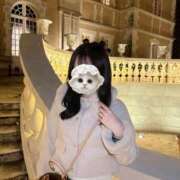 ヒメ日記 2025/12/31 20:31 投稿 モネ エピソード(品川)