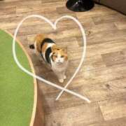 ♪みく♪ ♡お礼♡ 水色りぼん