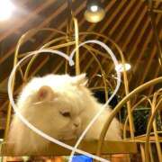 ♪みく♪ ♡お礼♡ 水色りぼん