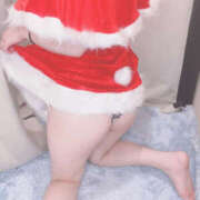 ヒメ日記 2025/12/26 22:52 投稿 いちか やんちゃな子猫日本橋本店