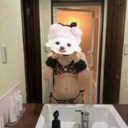 ヒメ日記 2026/04/01 14:19 投稿 さや 新橋フェアリーズ