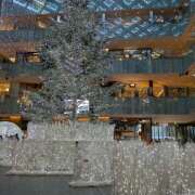 ヒメ日記 2025/12/14 11:46 投稿 深田あこ しゅうかつ倶楽部