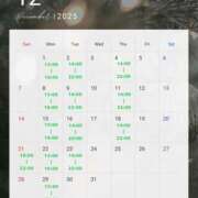 ヒメ日記 2025/12/10 06:40 投稿 椿奈々女王様 クラブドミナ