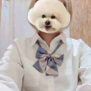 ヒメ日記 2025/10/14 12:25 投稿 つくし 姫マーケット