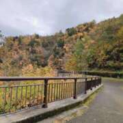 ヒメ日記 2025/10/25 20:05 投稿 つくし 姫マーケット