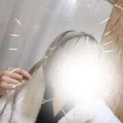 ヒメ日記 2025/11/14 12:05 投稿 つくし 姫マーケット