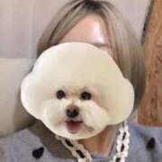 ヒメ日記 2025/11/15 17:21 投稿 つくし 姫マーケット