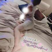 ヒメ日記 2025/11/24 10:19 投稿 つくし 姫マーケット