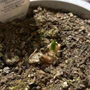 ヒメ日記 2025/10/20 18:29 投稿 みつき 出会い系人妻ネットワーク 上野〜大塚編