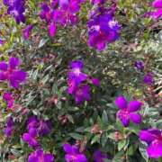 みつき ちょっと元気になれた🫢🌷 出会い系人妻ネットワーク 上野〜大塚編