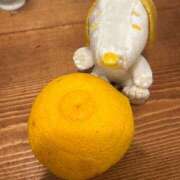 ヒメ日記 2025/12/19 19:30 投稿 みつき 出会い系人妻ネットワーク 上野〜大塚編