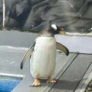 ヒメ日記 2025/08/11 15:37 投稿 みれい リッチドールフェミニン