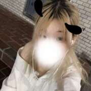 ヒメ日記 2025/07/04 10:00 投稿 ザクロ 飾窓