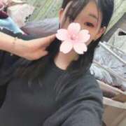 ヒメ日記 2025/07/24 23:00 投稿 ザクロ 飾窓