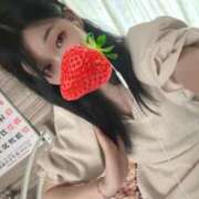 ヒメ日記 2025/07/27 16:30 投稿 ザクロ 飾窓