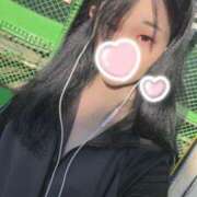 ヒメ日記 2025/07/29 13:55 投稿 ザクロ 飾窓