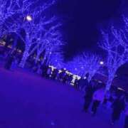 ヒメ日記 2025/12/19 10:00 投稿 ザクロ 飾窓