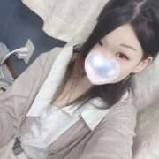 ザクロ しゅ 飾窓