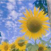 ヒメ日記 2025/06/27 18:29 投稿 深津 久留米デリヘルセンター