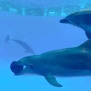 ヒメ日記 2025/06/28 12:06 投稿 深津 久留米デリヘルセンター