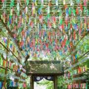 ヒメ日記 2025/07/05 08:56 投稿 深津 久留米デリヘルセンター