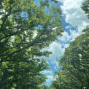 ヒメ日記 2025/07/08 08:26 投稿 深津 久留米デリヘルセンター