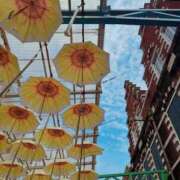 ヒメ日記 2025/07/09 08:26 投稿 深津 久留米デリヘルセンター