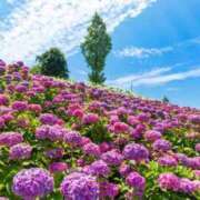 ヒメ日記 2025/06/27 14:05 投稿 まゆみ☆初ｲｷ極上美熟女 松戸人妻城