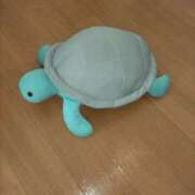 ヒメ日記 2025/08/02 08:42 投稿 緑山はるこ 五十路マダム 徳島店