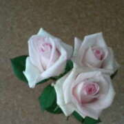 ヒメ日記 2025/08/14 07:32 投稿 緑山はるこ 五十路マダム 徳島店