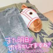 ヒメ日記 2025/11/12 05:03 投稿 坂元りえ 五十路マダム 沼津店(カサブランカグループ)