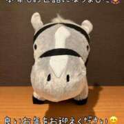 ヒメ日記 2025/12/31 21:05 投稿 坂元りえ 五十路マダム 沼津店(カサブランカグループ)