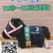 ヒメ日記 2026/01/08 11:11 投稿 坂元りえ 五十路マダム 沼津店(カサブランカグループ)