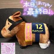 坂元りえ あと一枠?? 五十路マダム 沼津店(カサブランカグループ)