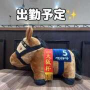 ヒメ日記 2026/04/11 18:33 投稿 坂元りえ 五十路マダム 沼津店(カサブランカグループ)