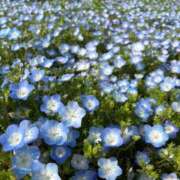 ヒメ日記 2025/07/02 12:04 投稿 いちか ときめき純情ロリ学園～東京乙女組 新宿校