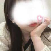 ヒメ日記 2025/11/23 15:40 投稿 りさ 白いぽっちゃりさん