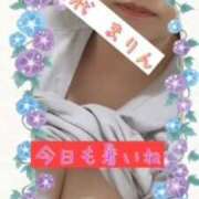 ヒメ日記 2025/07/13 17:22 投稿 雪代まりん(ゆきしろまりん) 五十路マダムエクスプレス厚木店(カサブランカグループ)