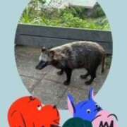 ヒメ日記 2025/08/15 08:14 投稿 雪代まりん(ゆきしろまりん) 五十路マダムエクスプレス厚木店(カサブランカグループ)