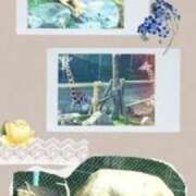 ヒメ日記 2025/10/04 21:18 投稿 雪代まりん(ゆきしろまりん) 五十路マダムエクスプレス厚木店(カサブランカグループ)