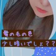 ヒメ日記 2025/10/08 09:30 投稿 雪代まりん(ゆきしろまりん) 五十路マダムエクスプレス厚木店(カサブランカグループ)