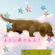 ヒメ日記 2025/10/13 19:12 投稿 雪代まりん(ゆきしろまりん) 五十路マダムエクスプレス厚木店(カサブランカグループ)