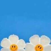 ヒメ日記 2025/10/26 09:30 投稿 雪代まりん(ゆきしろまりん) 五十路マダムエクスプレス厚木店(カサブランカグループ)