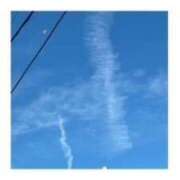 ヒメ日記 2025/12/12 14:30 投稿 雪代まりん(ゆきしろまりん) 五十路マダムエクスプレス厚木店(カサブランカグループ)